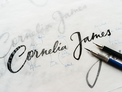 Cornelia James Pencil Sketch branding brush cornelia james hand lettering handlettering lettering logo logotype script