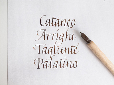 Italian Masters arrighi calligraphy calligraphy masters cataneo italian masters italics palatino tagliente