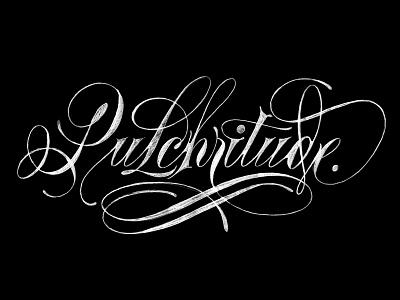 Pulchritude copperplate flourish flourishing handlettering lettering ligatures logo logotype pulchritude sketch spencerian