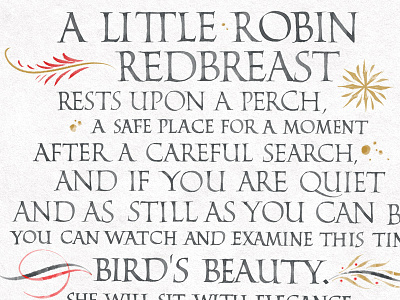 A Little Robin Redbreast calligraphy christmas greetings holidays little robin poem roman capitals