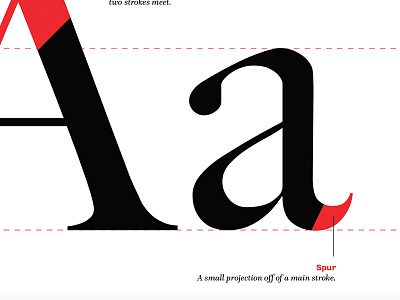 Type - Teaser a anatomy apex font letter spur type typography x height