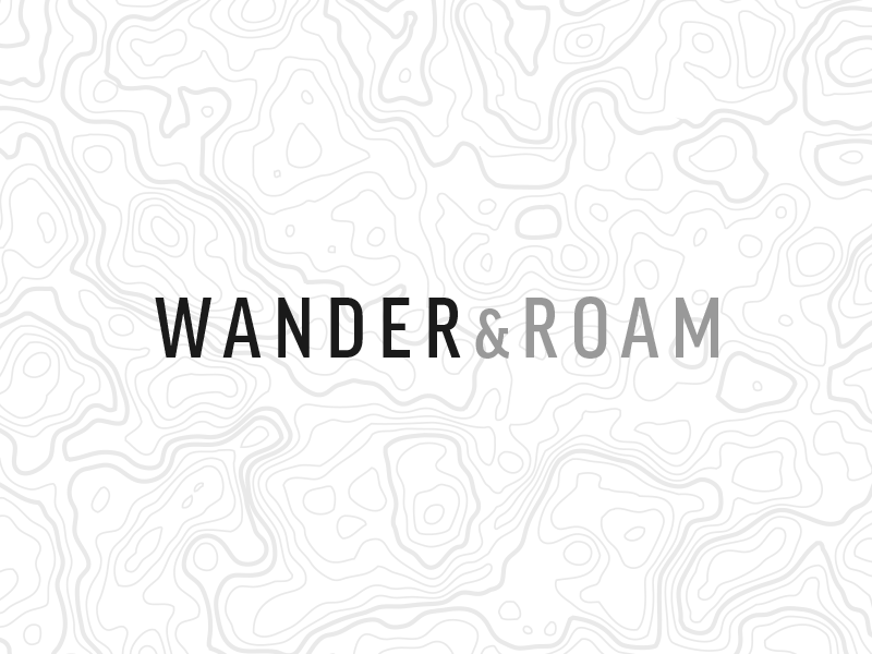 Wander & Roam blog branding logo minimal roam travel type wander website