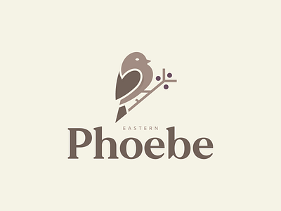 EASTERN PHOEBE animal bird bird icon bird illustration bird logo birds brand branding design illustration logo