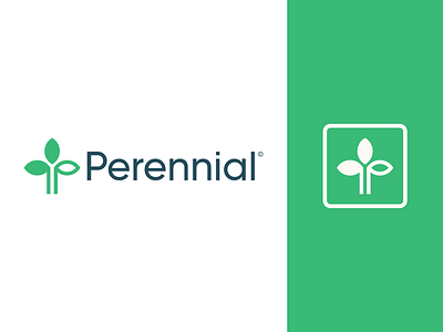 Perennial brand branding design finance financial green investment leaf leaf logo logo mark minimal