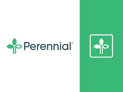 Perennial