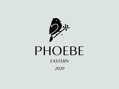 PHOEBE 2020 animal bird bird logo black branding logo mark