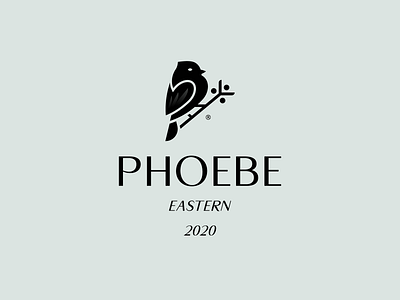 PHOEBE 2020