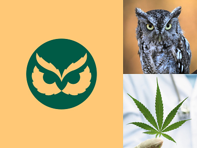 Budbo(First Option) animal branding cannabis cannabis logo cbd golden ratio goldenratio hemp icon logo mark negative space owl