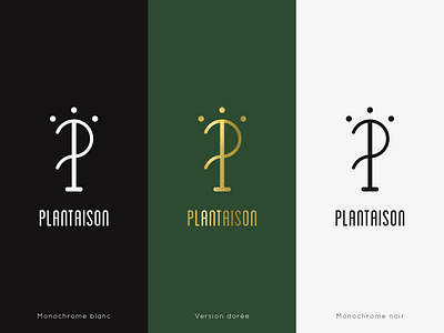 Plantaison | logo logo logo presentation logodesign logotype typography typography art
