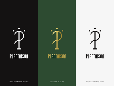 Plantaison | logo