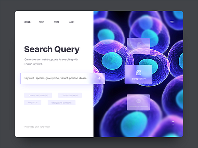 Search Query Website