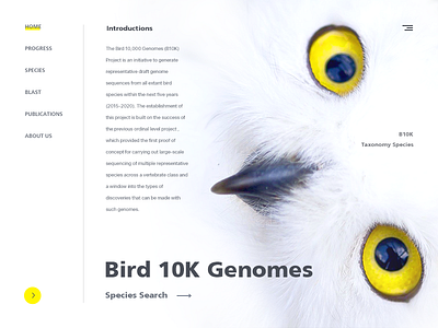 Design of the bird gene bank website ui