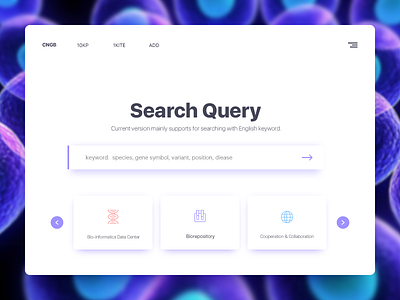 Search Query Website search ui website