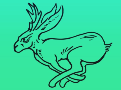 Jackalope branding design identity illustration logo