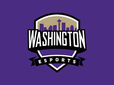 University Of Washington // E Sports