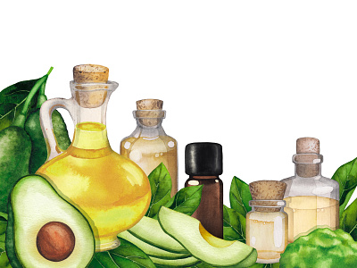 Watercolor Avocado oil. art avocado design eco essential oil food painting illustration plant watercolor watercolor painting