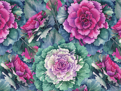 Watercolor Flowering Kale art botanical art botanical illustration cabbage design floral flower flowering kale hand painted herbs illustration kale nature pattern repeated pattern seamless pattern watercolor watercolor painting watercolor plant