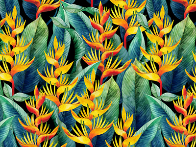 Watercolor Heliconia. art botanical design exotic floral flower heliconia illustration illustrator nature pattern plant tropical watercolor watercolor illustrator watercolor painting watercolour