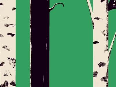 Woodpecker study animation birches bird cellanimation framebyframe illustration ipad nature procreate trees woodpecker