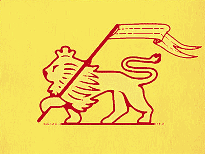 Lion flag illustration lion