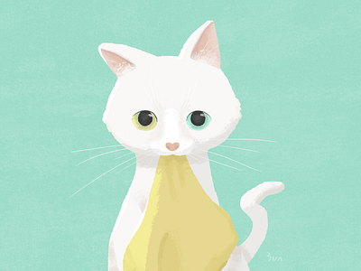 Look! art cat character cute design drawing eyes illustration look white yununuan