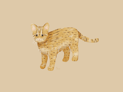 Leopard cat animal art cat character design drawing felidae illustration leopard cat protected species yununuan