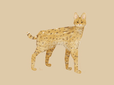 Serval animal art cat character design drawing illustration serval yununuan