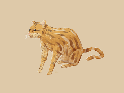 Ocelot animal art cat character design drawing felidae illustration ocelot yununuan