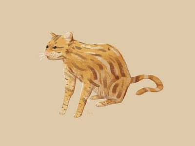 Ocelot