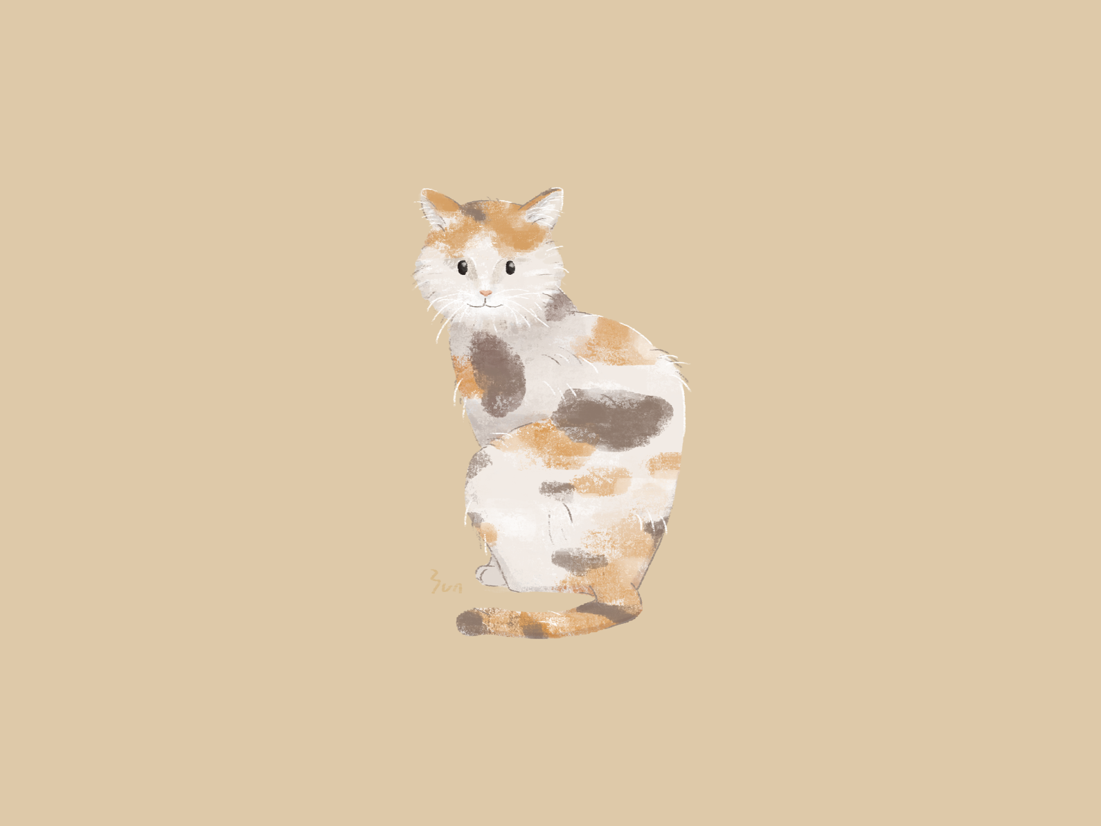 Calico cat by yununuan on Dribbble