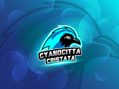 Cyanocitta Cristata E-Sport Logo animal animation branding clean design e sport logo flat icon identity illustration illustrator logo minimal modern vector