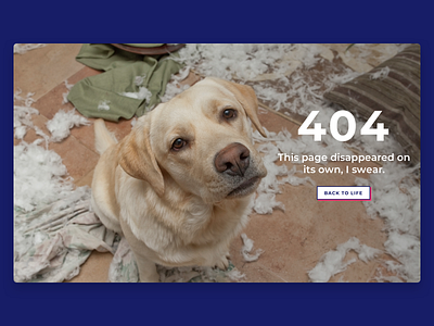 HuffPost Life 404 Page