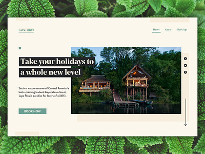 Landing Page Concept accommodations daily 100 daily ui daily ui 003 design hotel branding landing page landing page design lodging ui website