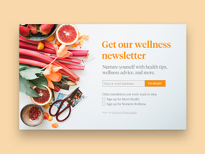 Newsletter elegant healthy news design newsletter design newsletters type typogaphy