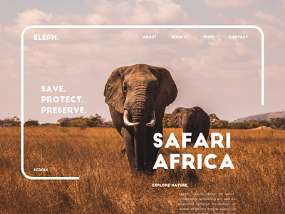 Eleph. Save the Elephants Campaign brand design designagency graphicdesign ui uidesign ux uxdesign uxui web
