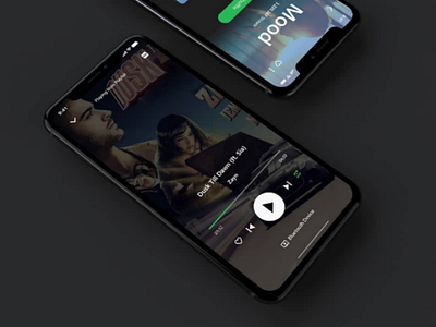 Spotify 1.1