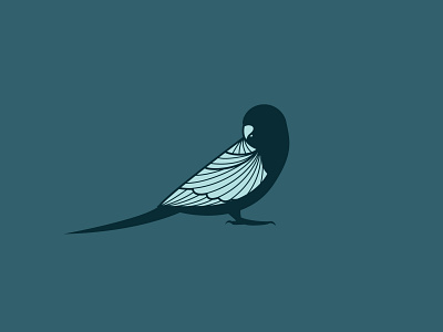 Parakeet - 2/365