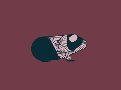 Guinea Pig - 3/365