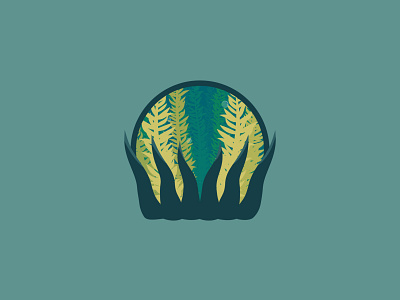 Kelp Forest - 13/365