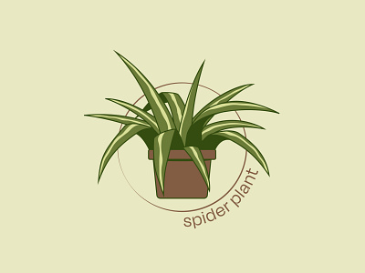 Spider Plant - 69/365 botanical botany design graphic houseplant illustration illustrations illustrator leaf leaves plant pot spiderplant