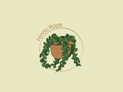 Hindu Rope - 71/365 botanical botany copper design garden green houseplant illustrations leaf leaves plant plants tan vines wax plant
