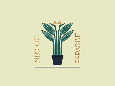 Bird of Paradise - 73/365 bird of paradise design flower green houseplant leaf leaves orange plant plants tan tropical tropics vector