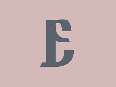 E - 218/365 alphabet custom font letters type typography