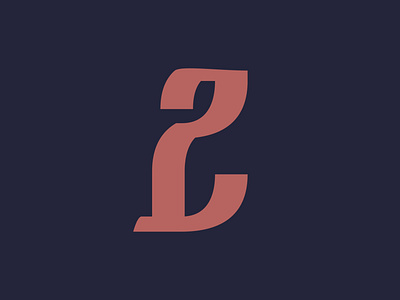 Z - 239/365 custom font fonts letter lettering letters monogram type typography z