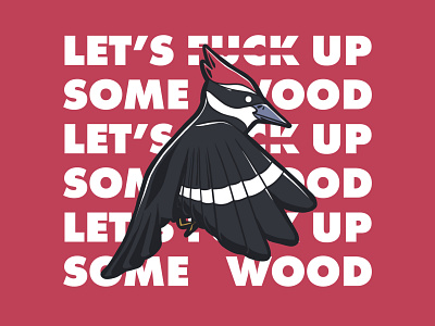 Woodpecker Things - 240/365