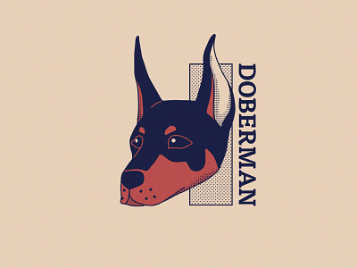 Doberman - 262/365 animal cartoon character design doberman dog dogs guard dog illustration illustrations pet pets