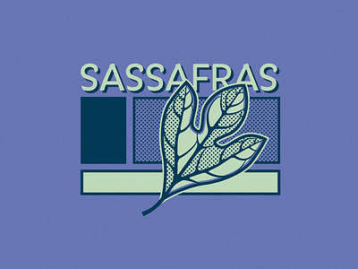 Sassafras - 270/365