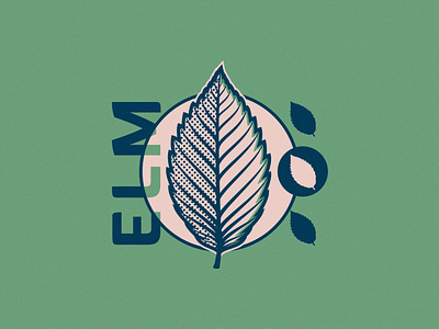 Elm Leaf - 274/365 badge elm half tone illustration leaf leaves plant plants tree typography