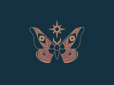 Light Seeker - 303/365 bug illustration illustrations magic moth mystical star sun symbolic wings