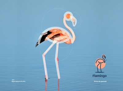 flamingo brand branding design flamingo graphic grid system illustration inspiration line logo logo ui ux vector